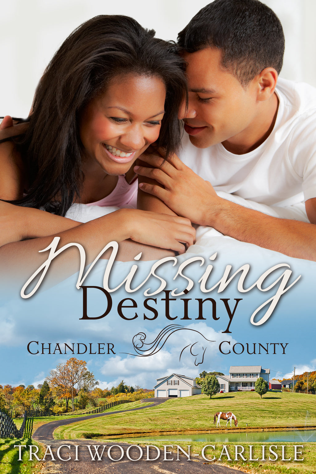 Missing Destiny (Chandler County Novel) - Riveting Christian Romantic Suspense (E-Book)